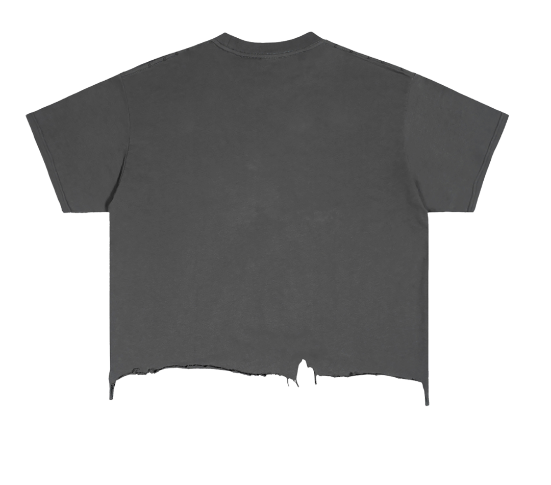 FPD Icon T-shirt back